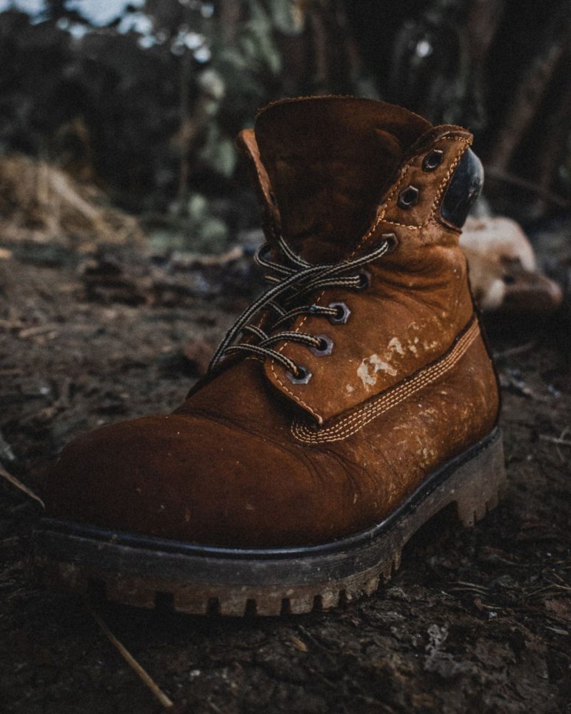 Timberland Field Boot
